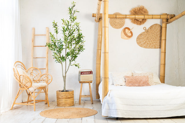 Waarom een plant van 180 cm een kamer verandert