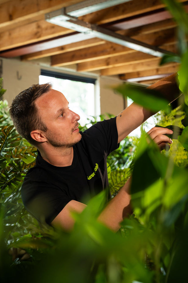 Je thuiswerkplek inrichten met kunstbomen en kunstplanten