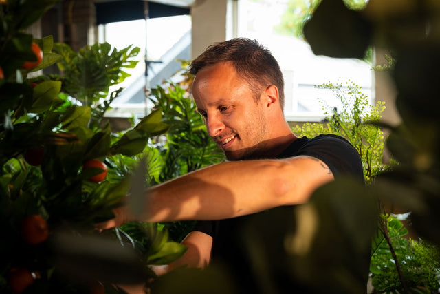 Hebben kunstplanten onderhoud nodig?