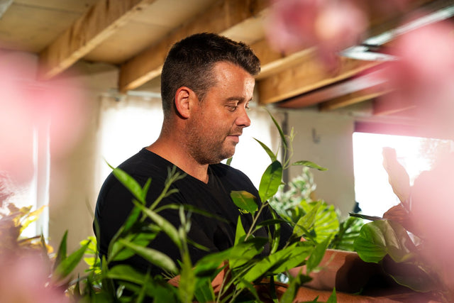 Koopgids: hoe kies je de mooiste kunst Orchidee?