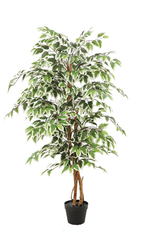 Kunstplant Ficus groen 140cm