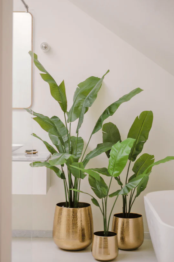 Kunstplant Strelitzia Nicolai Deluxe 165 cm