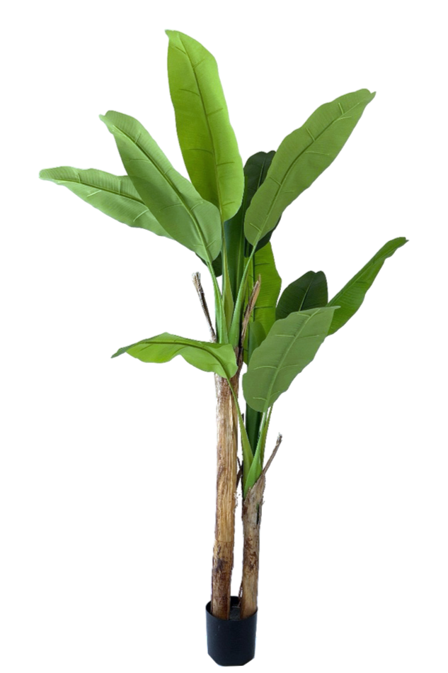 Kunst Bananenboom 160cm