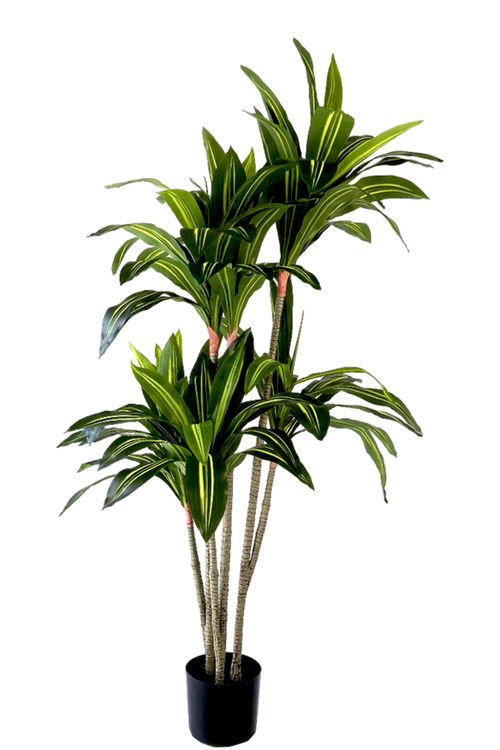 Kunstplant Dracaena Fragnans 150cm