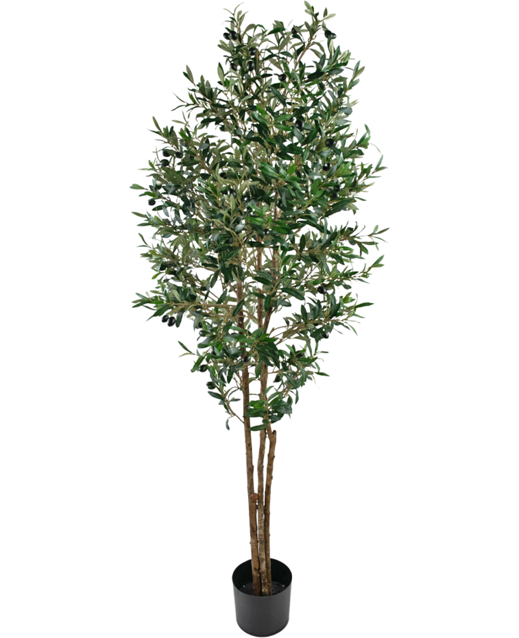 Kunst olijfboom 180 cm UV