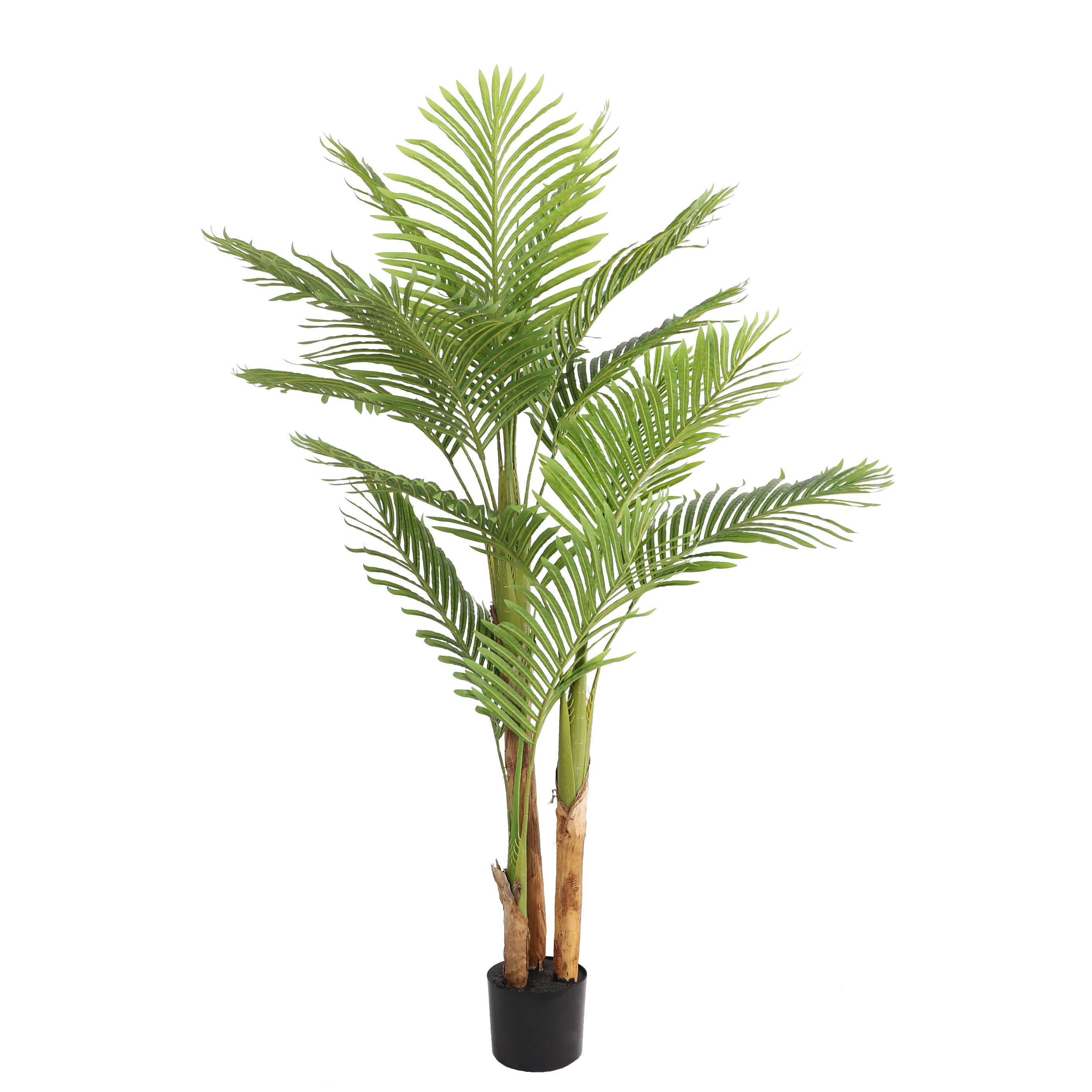 Kentia palm kunstplant 170 cm - Tropisch design voor binnen