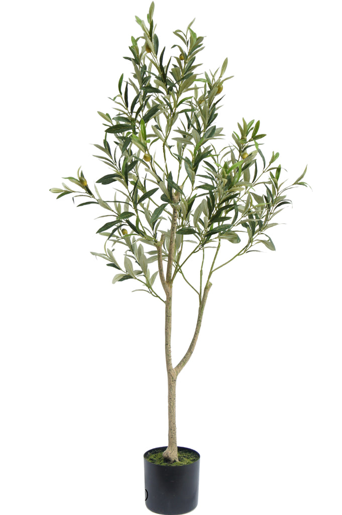 Mooie decoratieve kunstmatige olijfboom plant