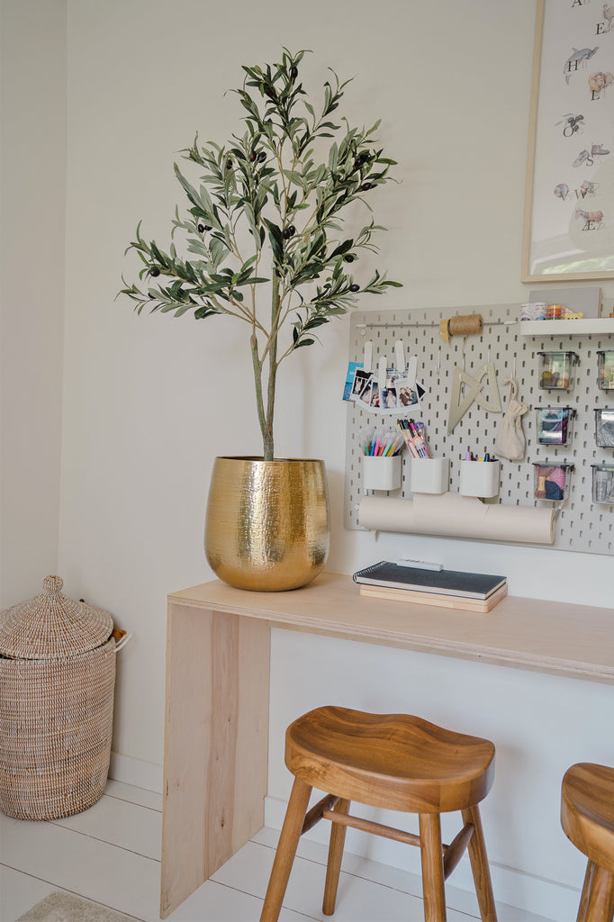 Imposante nep olijfboom van 120 cm hoog