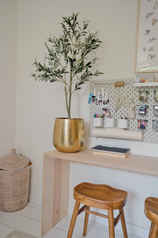 Imposante nep olijfboom van 120 cm hoog