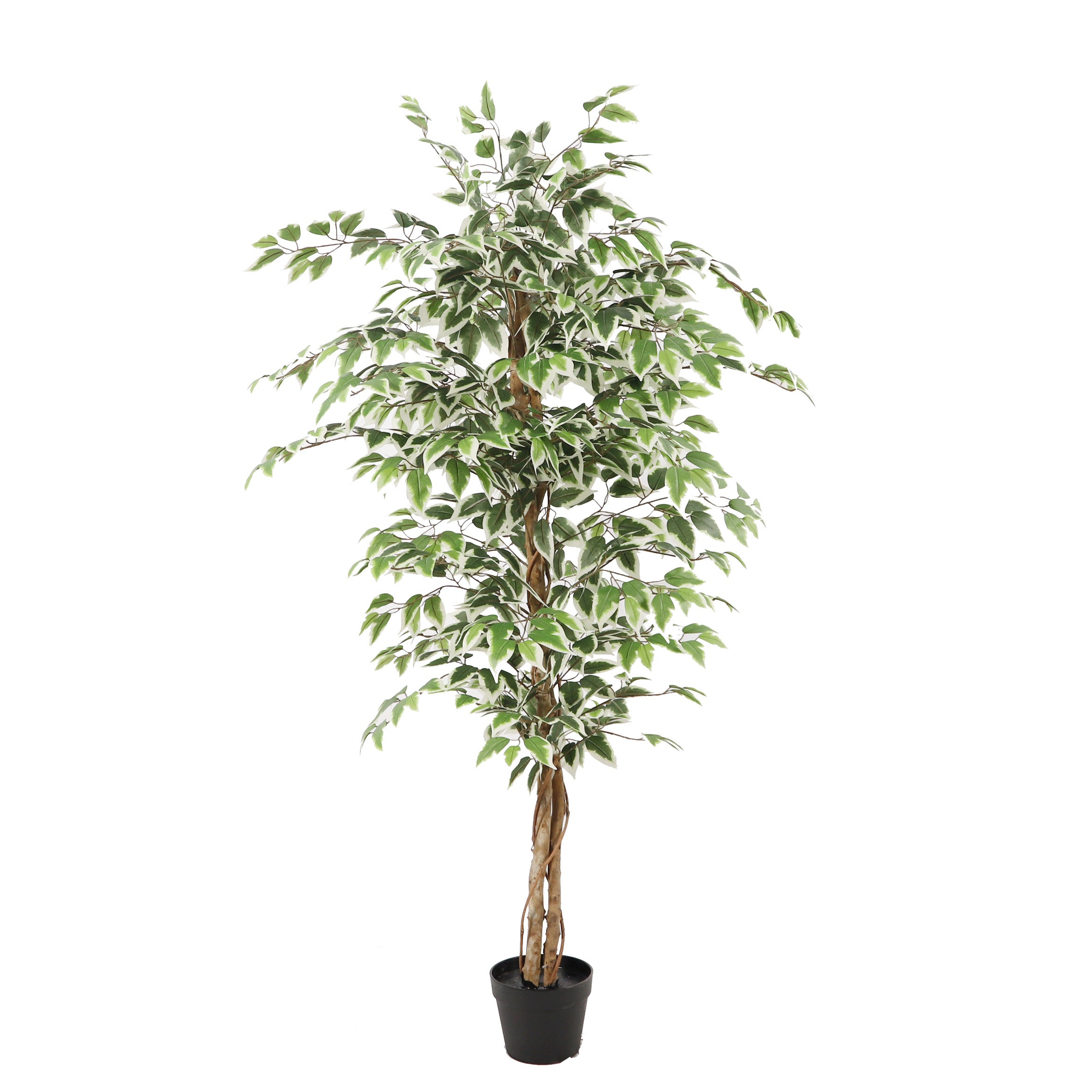 Kunstplant Ficus groen 160cm