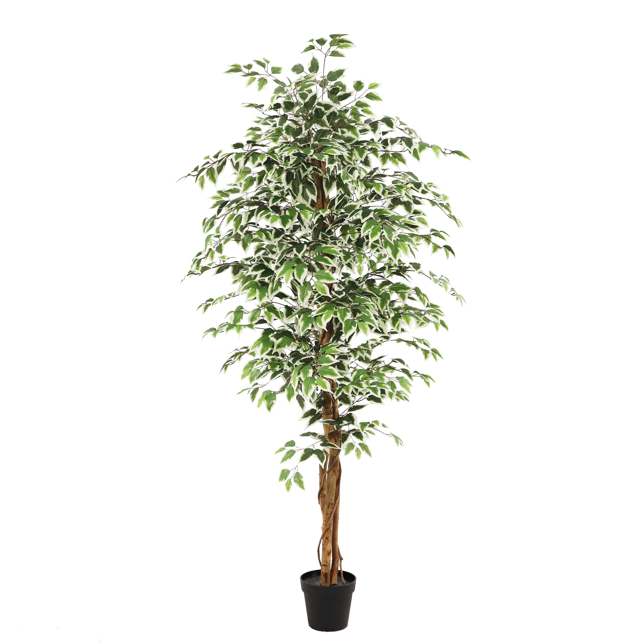 Kunstplant Ficus groen 180cm