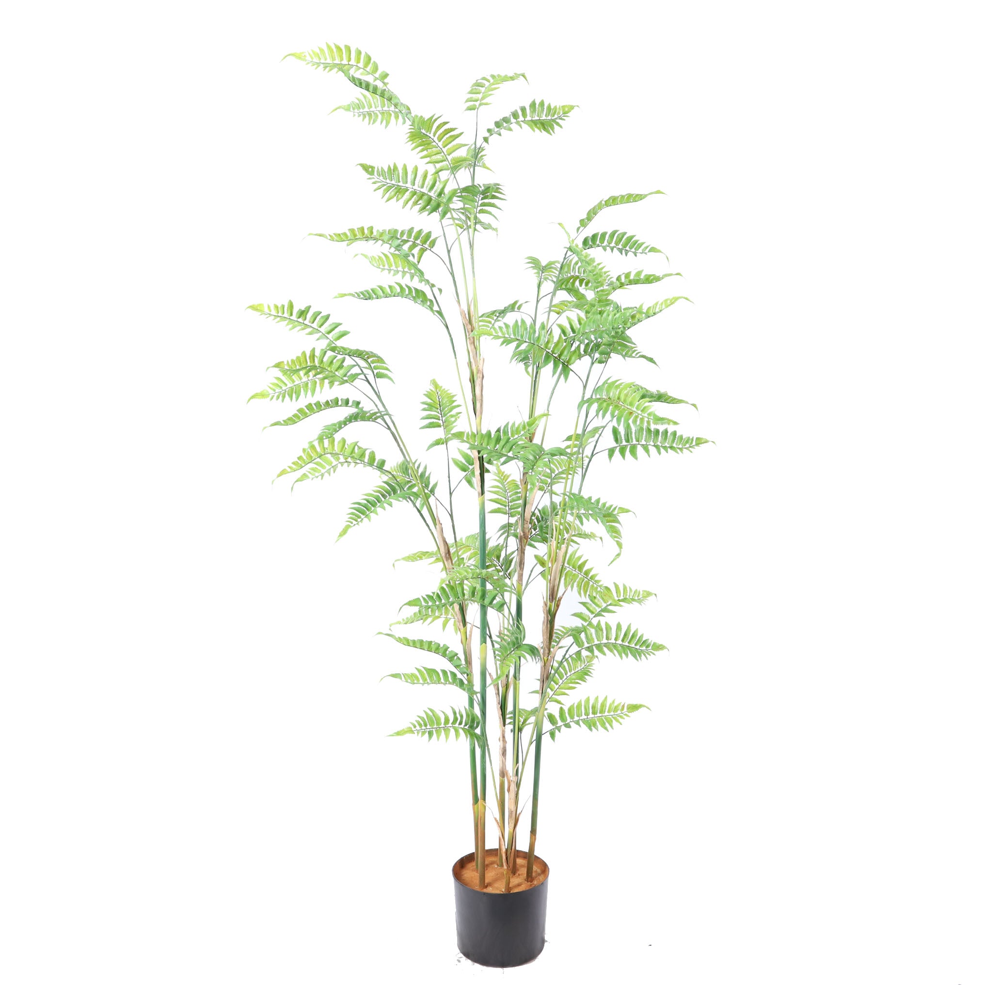 Kunstplant palm 160cm