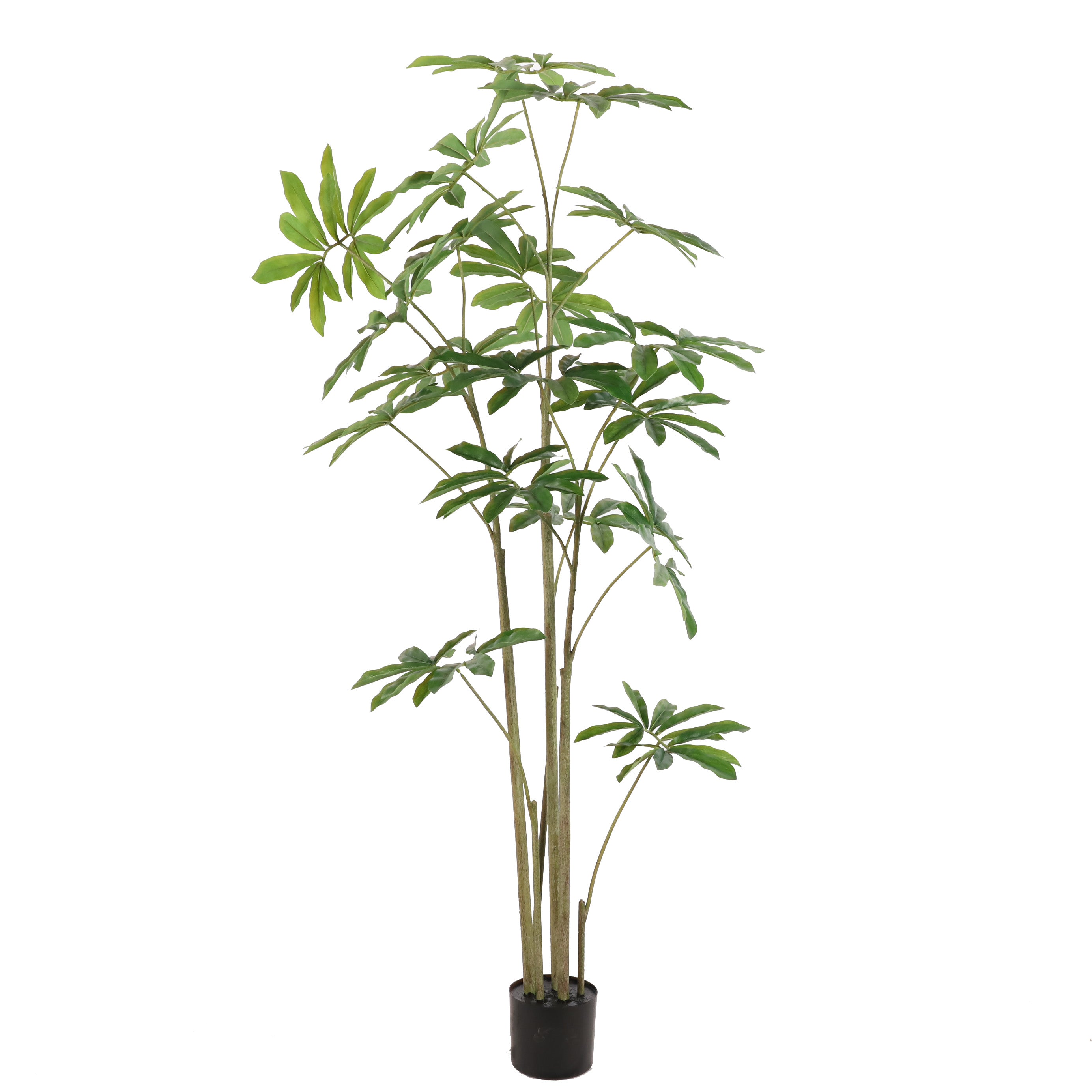 Philondendron kunstplant 180cm