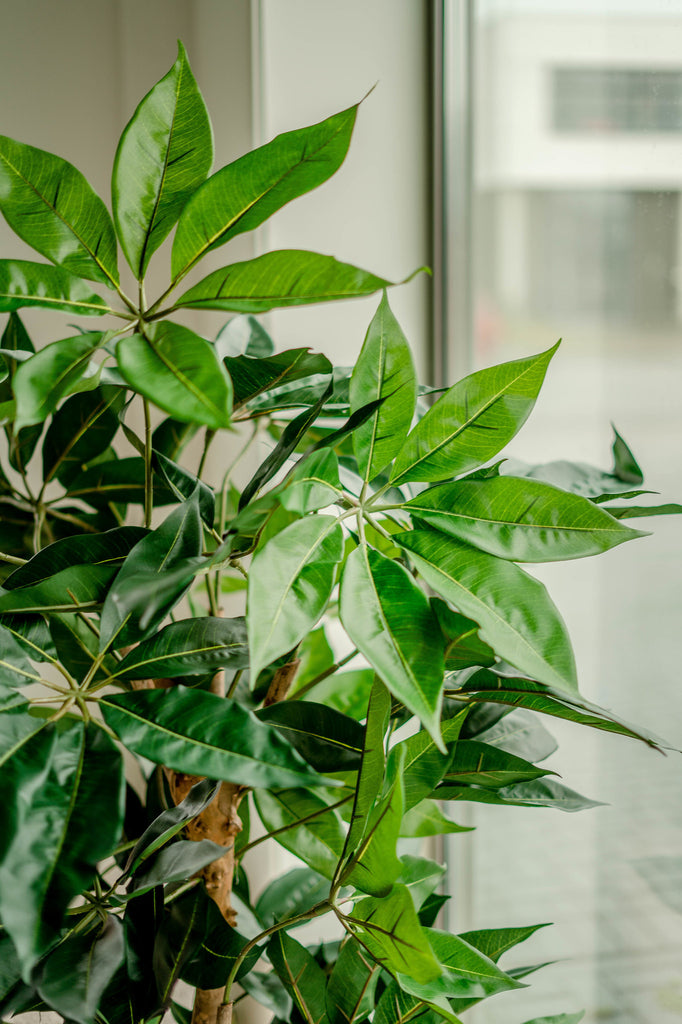 Hoge kwaliteit kunstplant voor interieurdecoratie