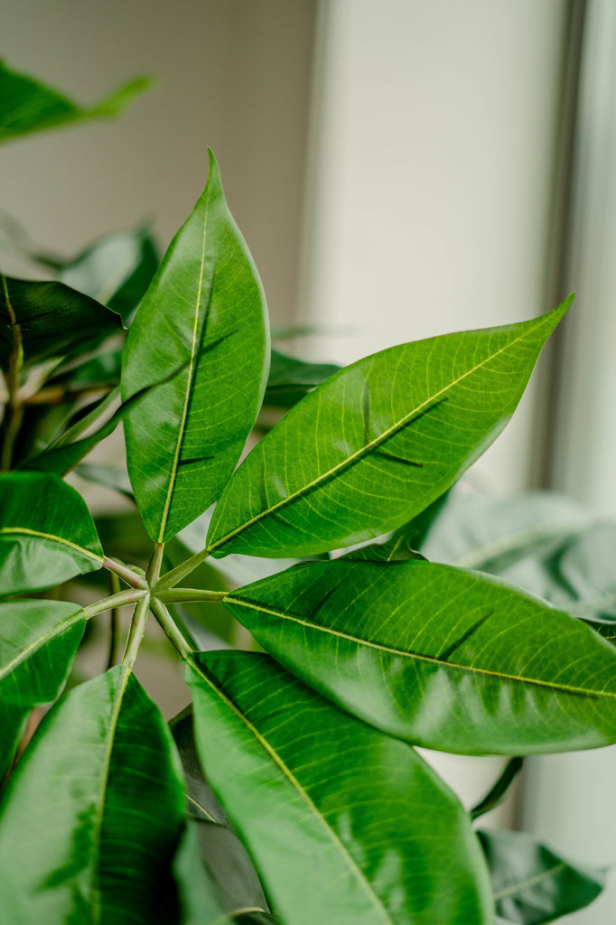 Kunstzinnige schefflera takken van 150 cm