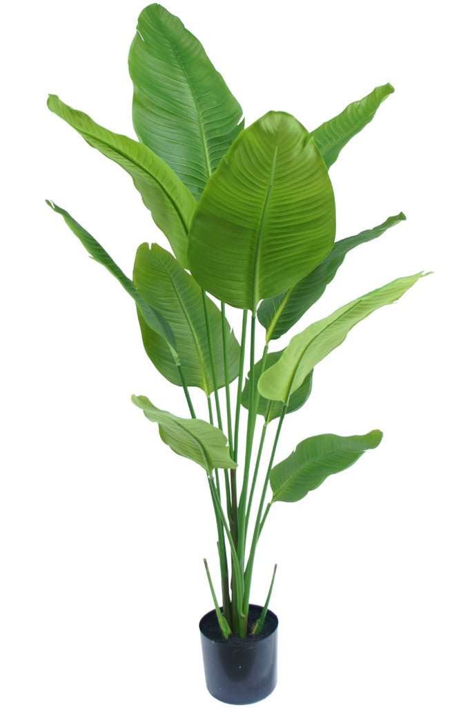 Mooie namaak Strelitzia plant 150 cm