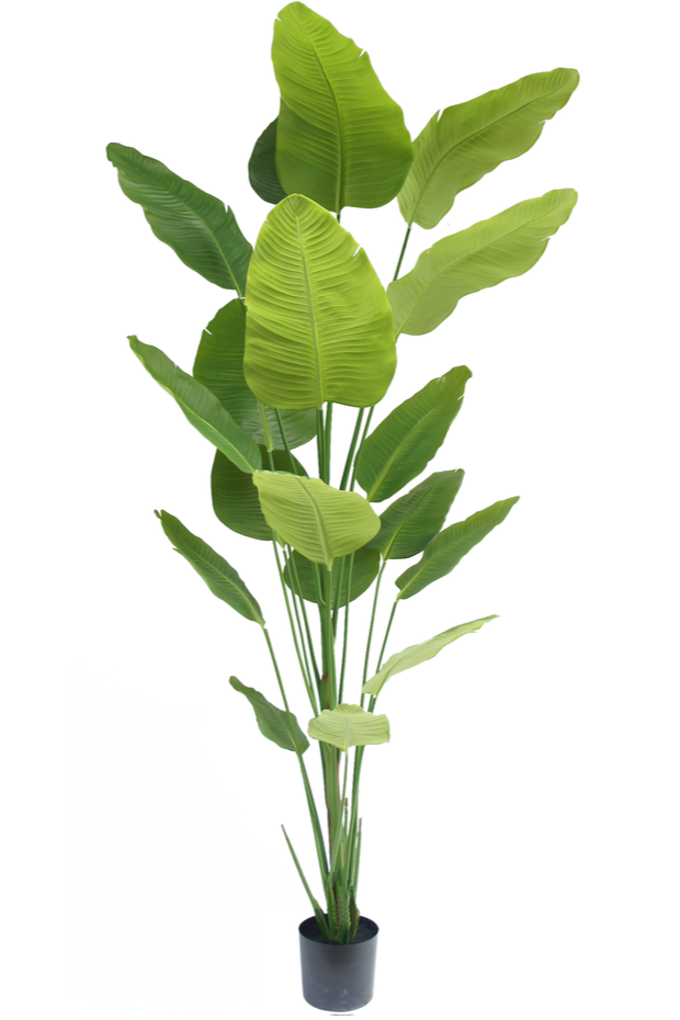 Kunstplant Strelitzia 240 cm