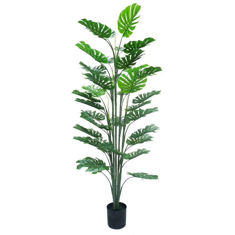 Monstera kunstplant 160 cm – Tropisch Zuid-Amerika
