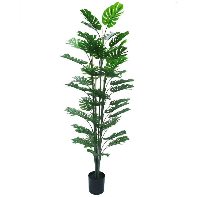 Monstera kunstplant 180 cm – Tropisch Zuid-Amerika