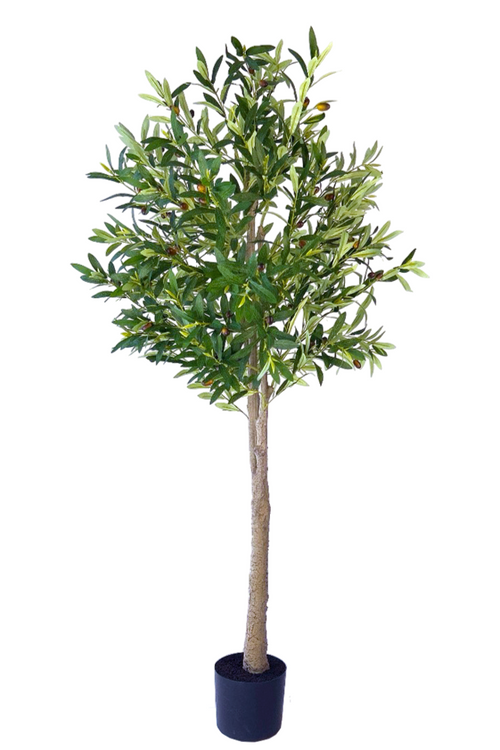 Kunst olijfboom 160cm