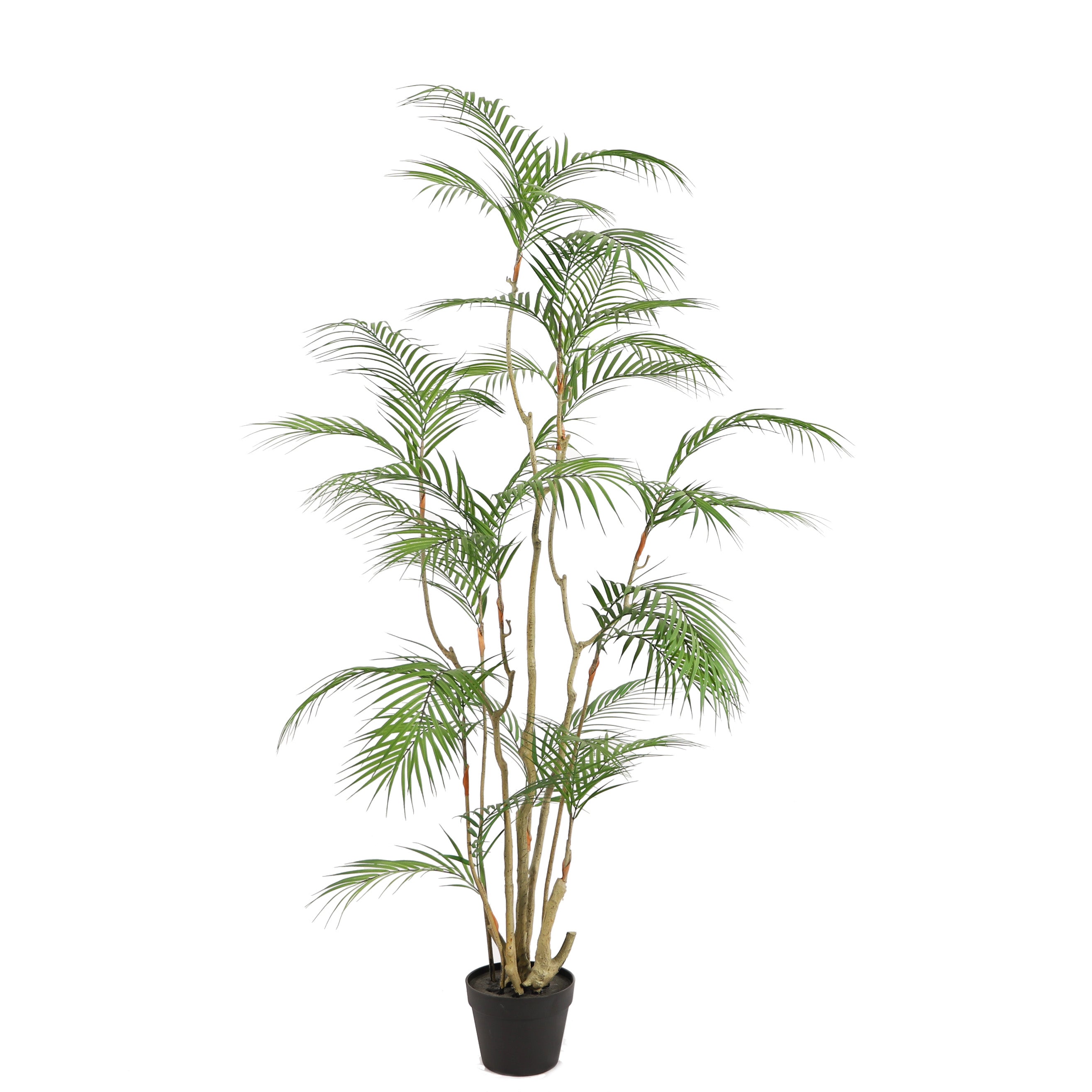 Tropische Areca palm kunstplant 160 cm