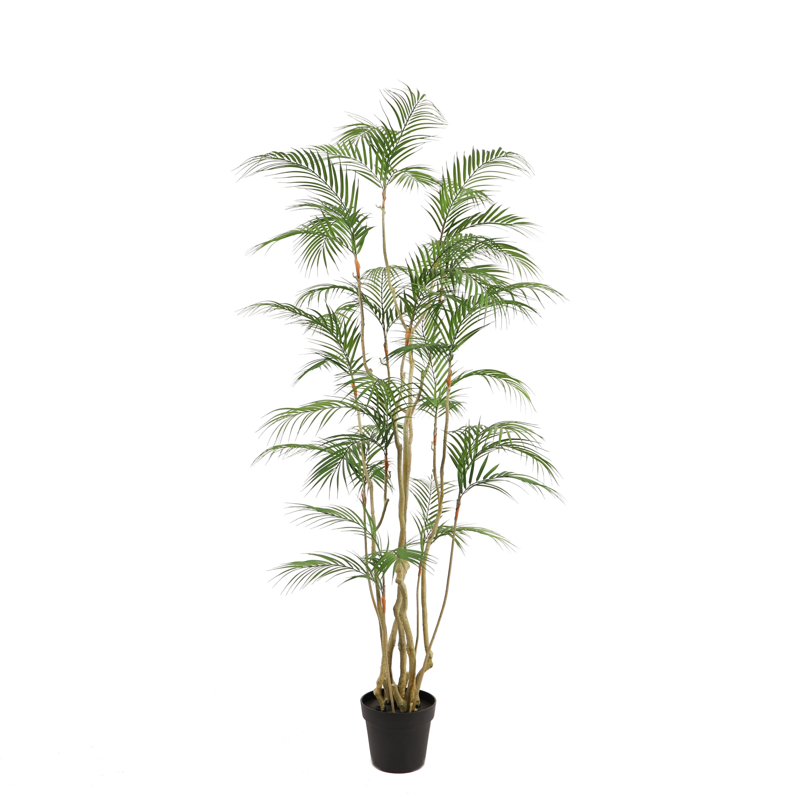 Tropische Areca palm kunstplant 180 cm