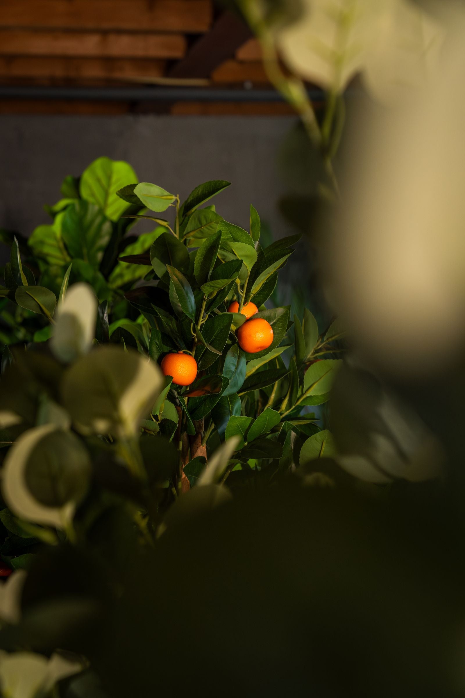 Kunstplanten voor buiten: maak je tuin groener