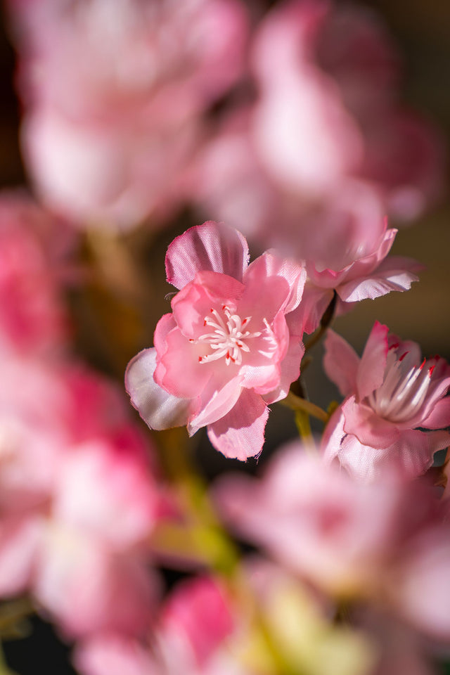 Hoe kan ik kunstplanten of kunstbloemen schoonmaken