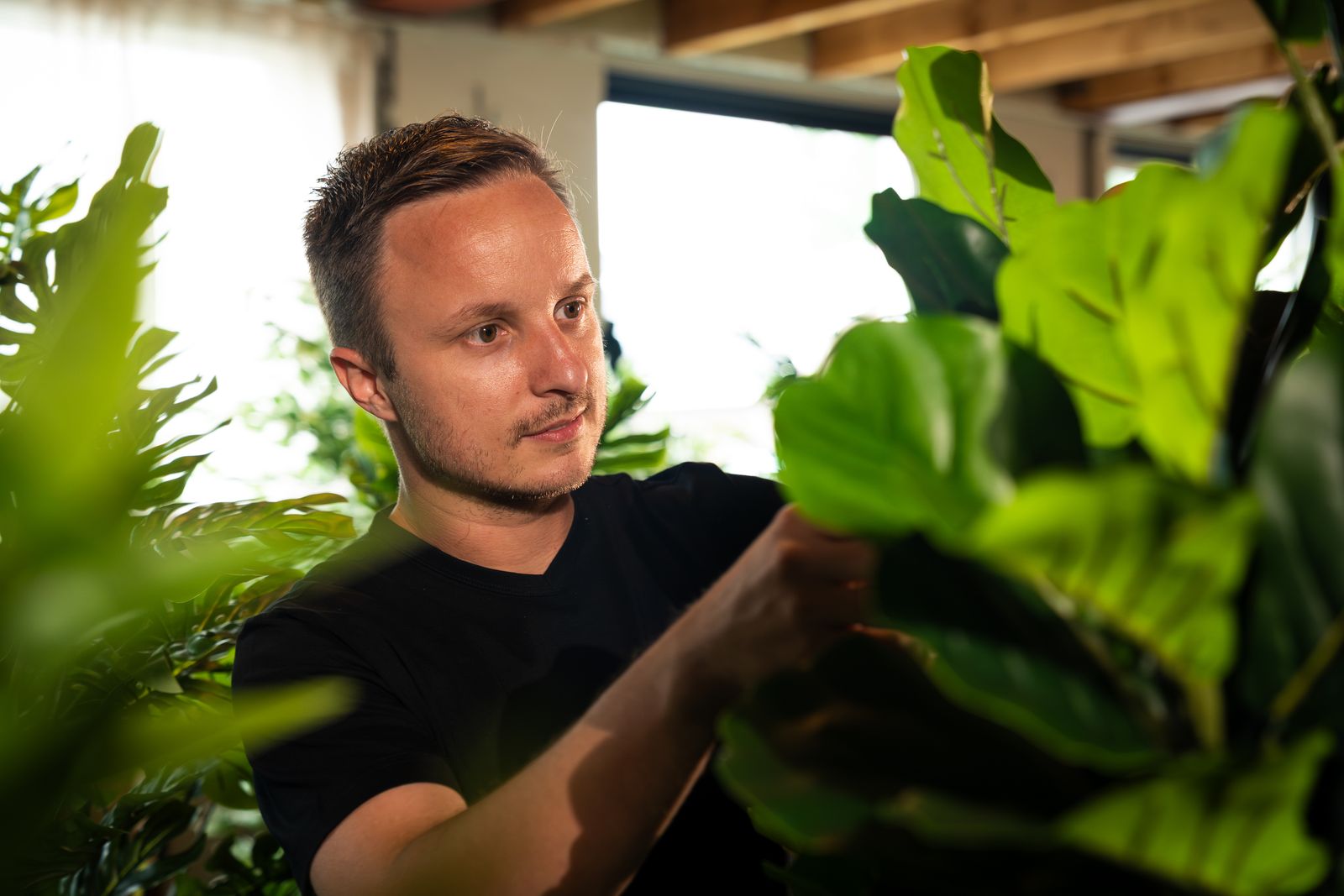 Hoe lang gaan kunstplanten mee?