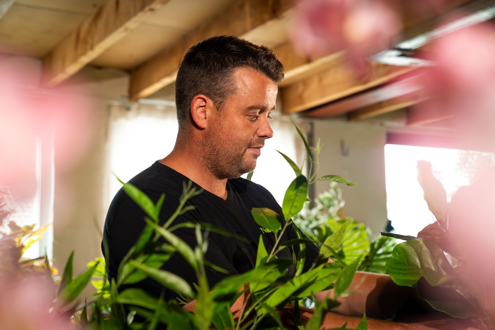 Koopgids: hoe kies je de mooiste kunst Orchidee?