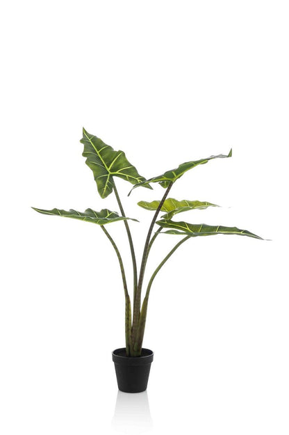 Decoratieve nep Alocasia Frydek plant