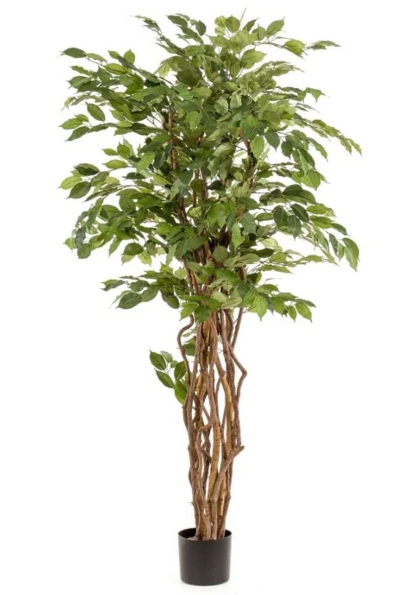 Ficus Liana kunstboom voor in huis