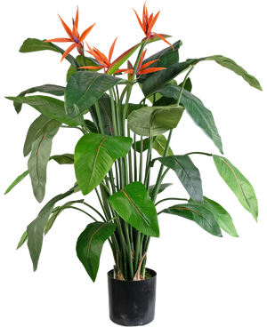 kunstplant-strelitzia-120cm