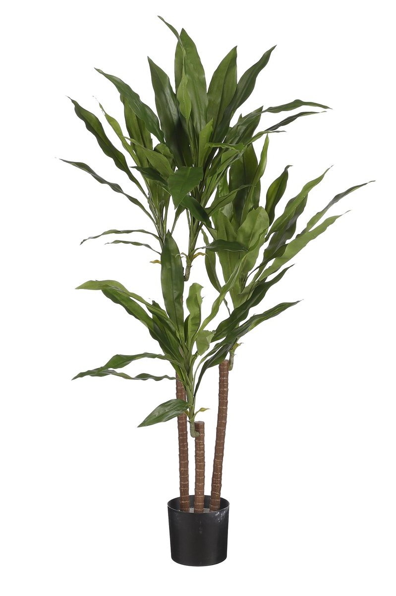 Elegante kunstplant Dracaena voor interieurdecoratie