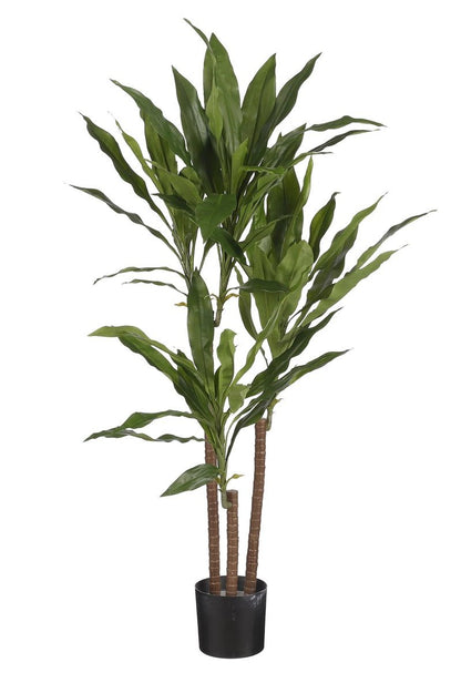 Elegante kunstplant Dracaena voor interieurdecoratie