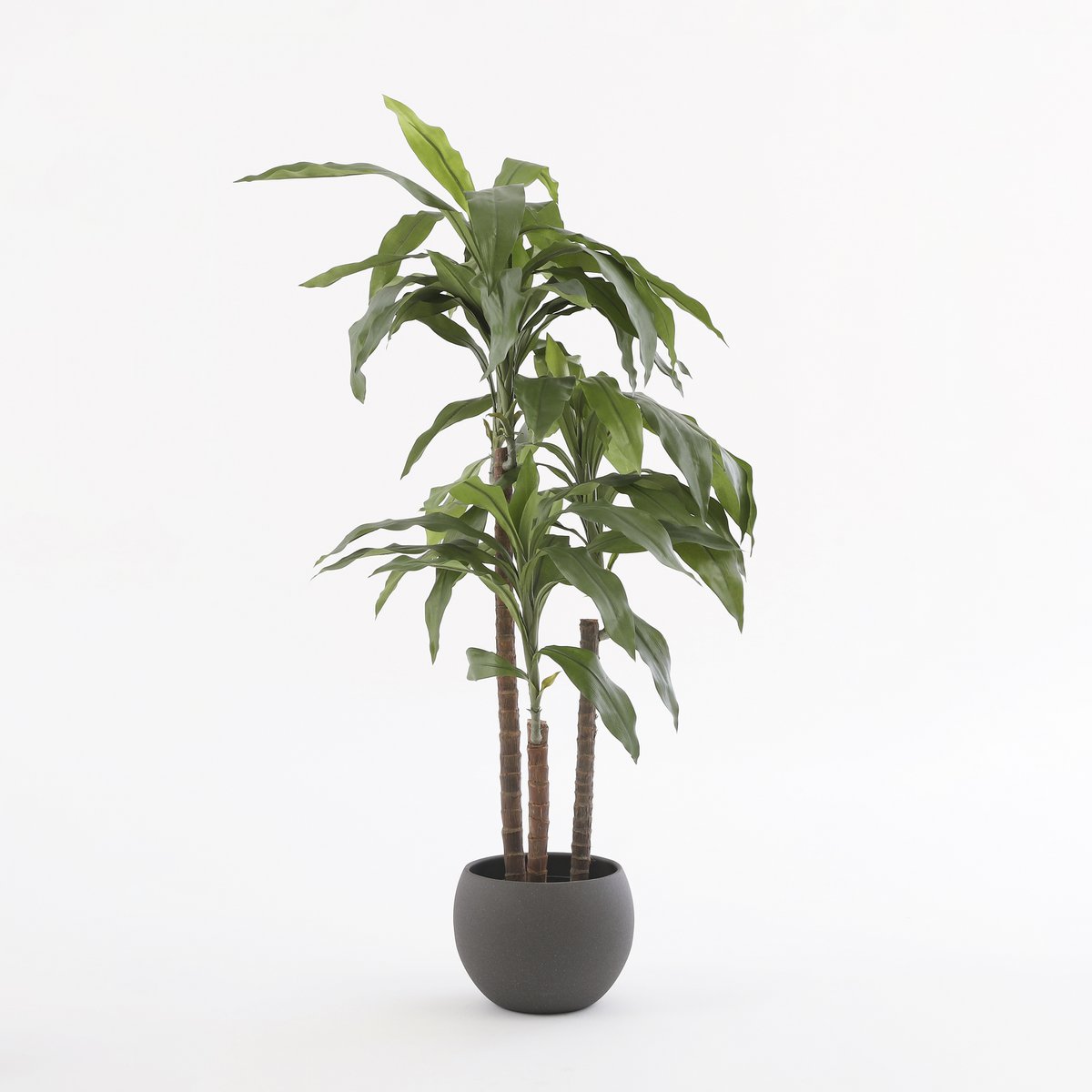 Mooie Dracaena kunstplant voor sfeervolle ambiance