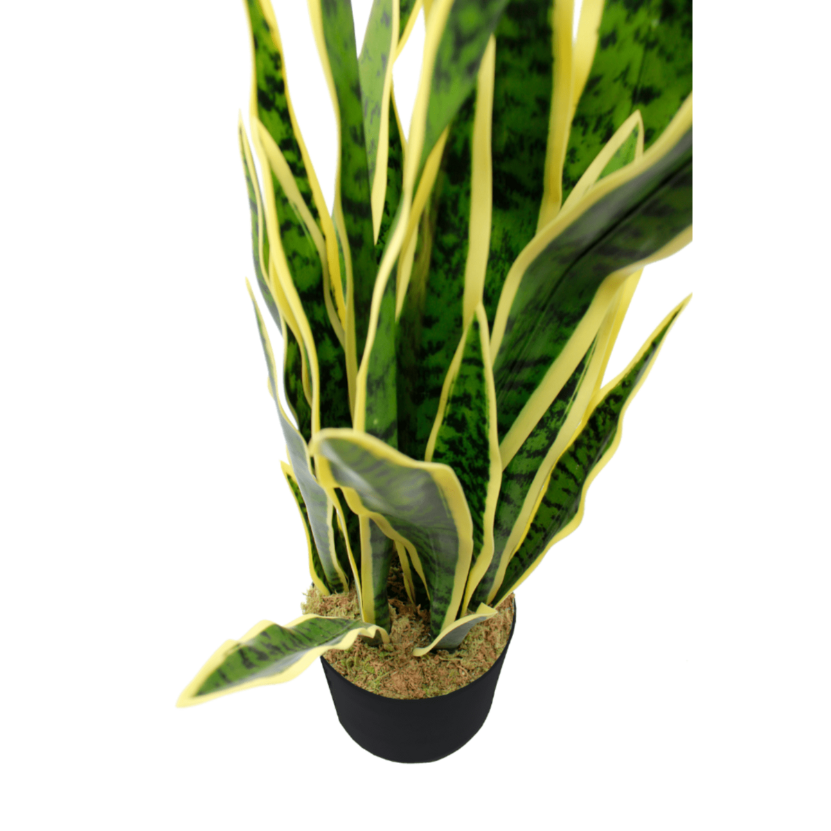 Decoratieve kunstplant van Sansevieria op standaard