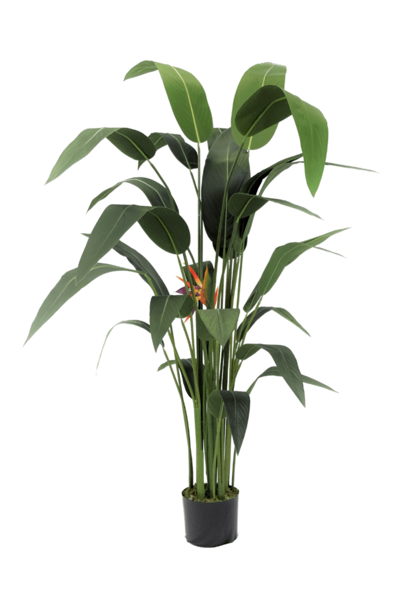 Strelitzia kunstboom met grote bloemtros