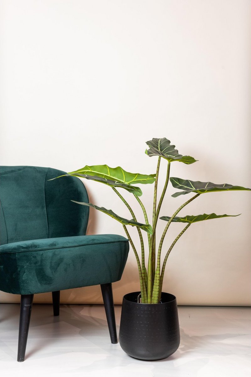 Lifsechte kunstplant Alocasia Frydek voor huis