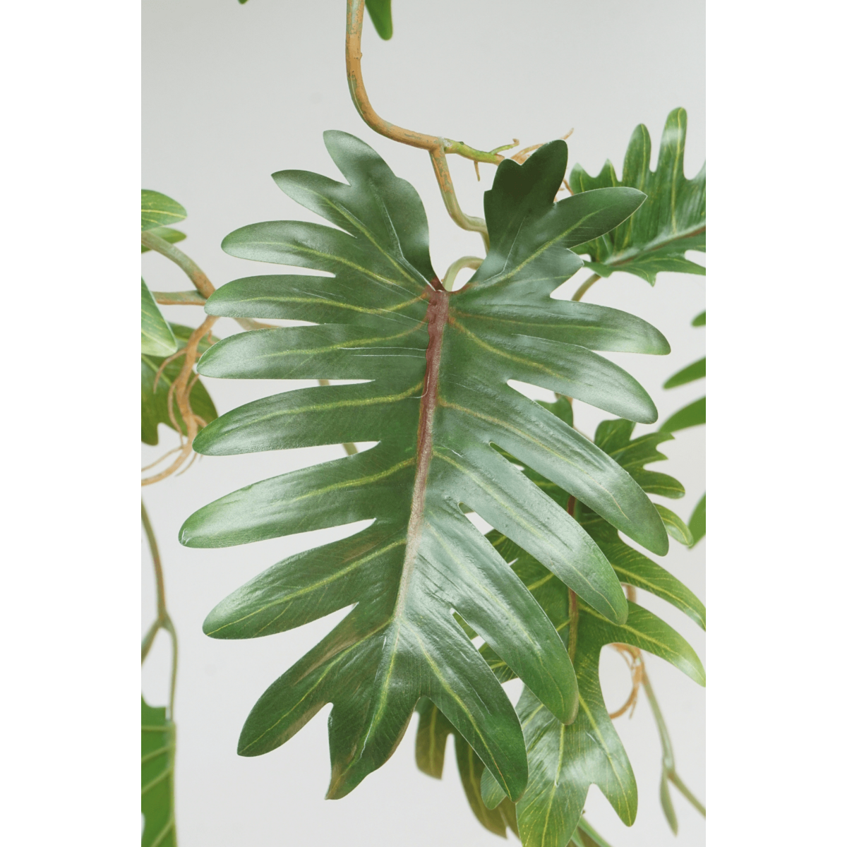 Kunstmatige Philodendron plant met realistische uitstraling