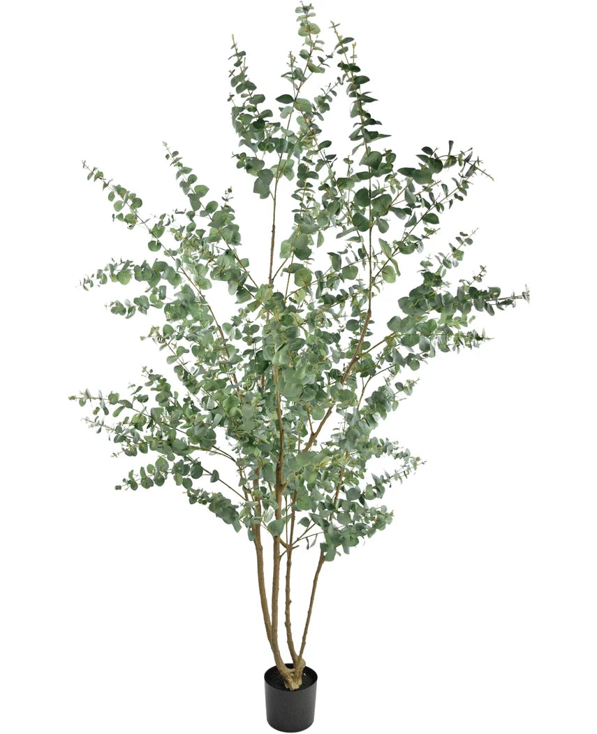 kunstplant-eucalyptus-240cm