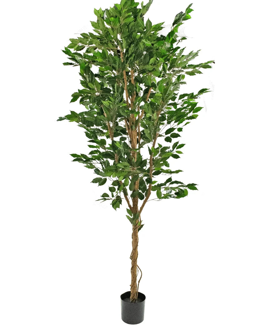 kunstplant-ficus-groen-240cm