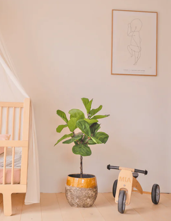 Kunstplant Ficus Tabaksplant 90 cm