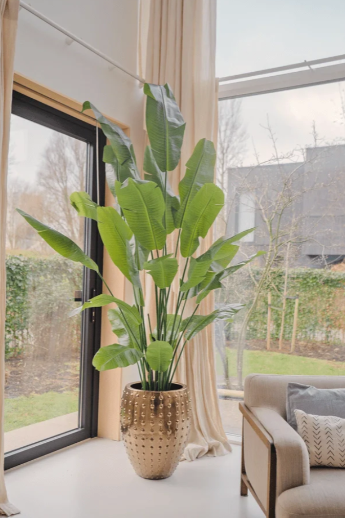 Kunstplant Strelitzia Nicolai 210 cm