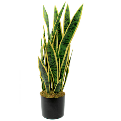 Kunstplant Sansevieria voor interieurdecoratie