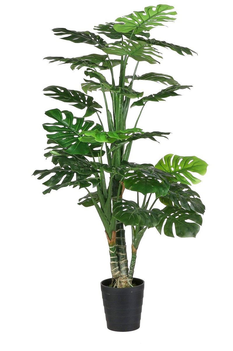 Nep Monstera plant voor in huis