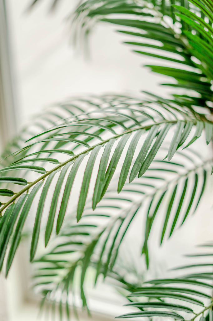 Modieuze kunstmatige palmplant voor interieur