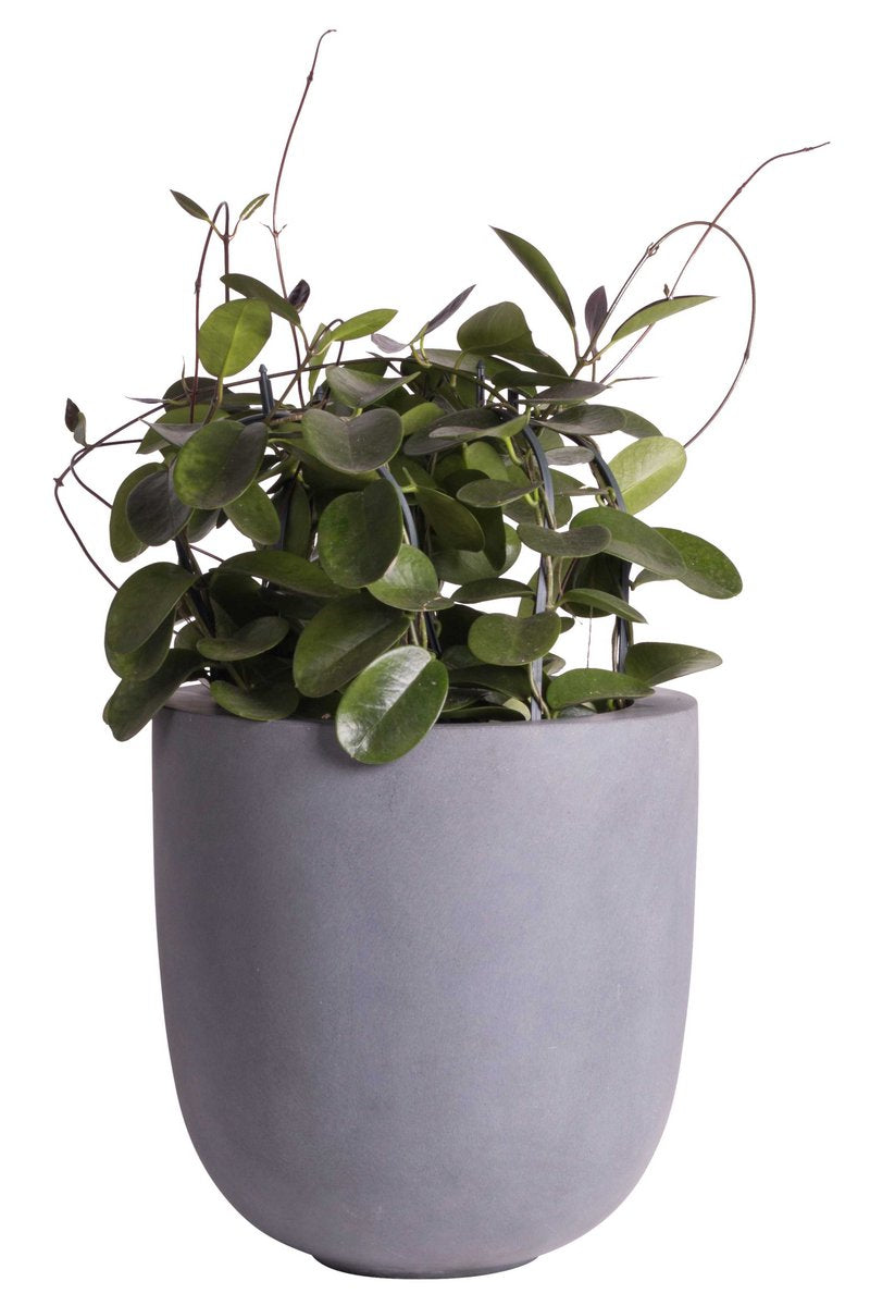 Ducos big grey Ø33 x H35 cm