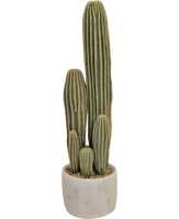 Kunst Cactus 59 cm