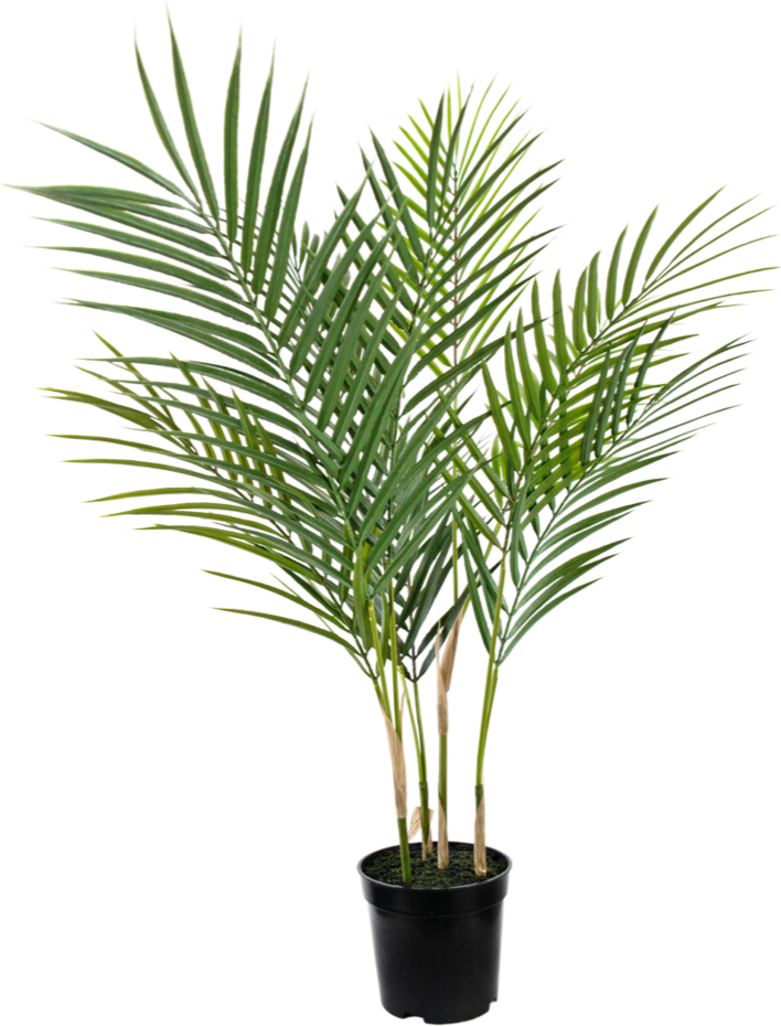 Kunstpalm Chamaedorea 71 cm